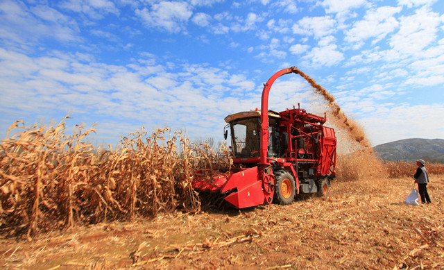 外眼看,护大河之洲引百鸟来栖