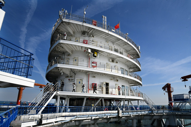 生态湿地百鸟来栖视频,护大河之洲引百鸟来栖