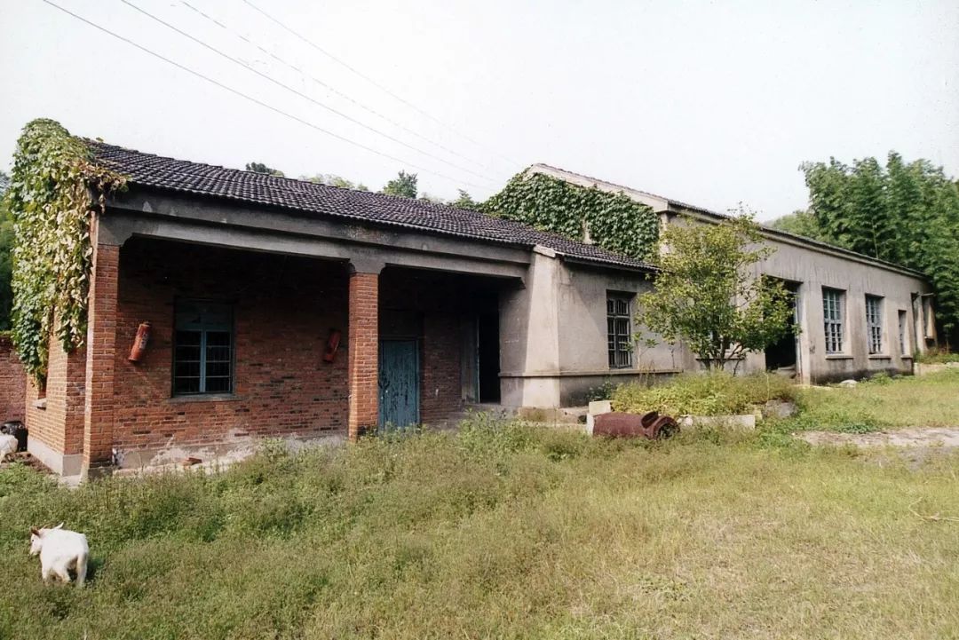 一个安徽爷爷，花1万块种出5000㎡私家花园，被评为中国最美