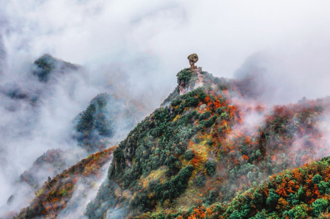 金华市著名网红,十大网红打卡圣地金华
