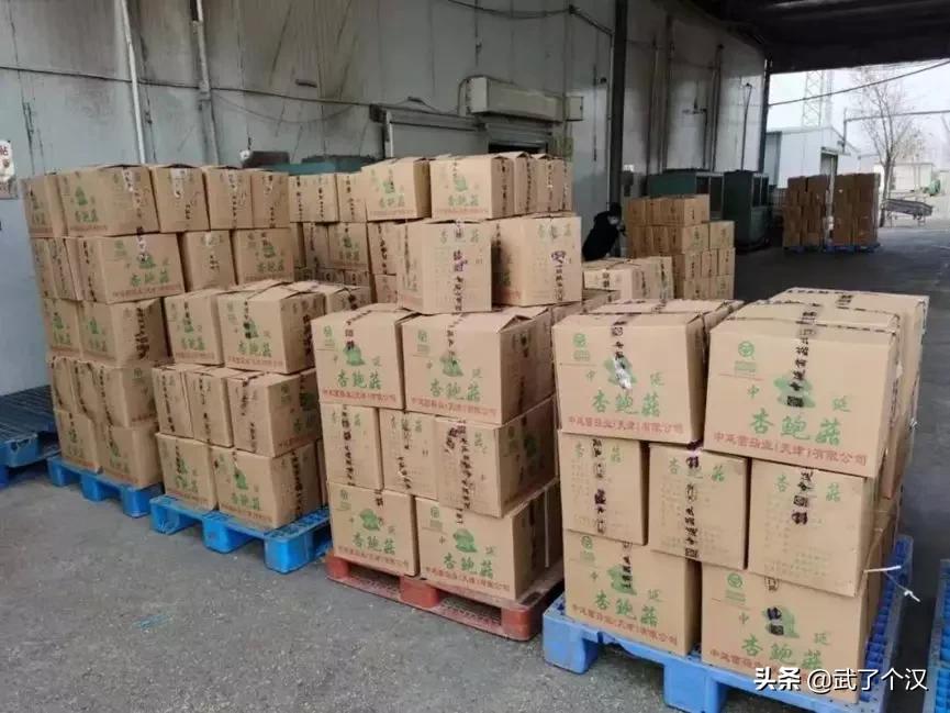 静海在天津的地位,天津静海的发展