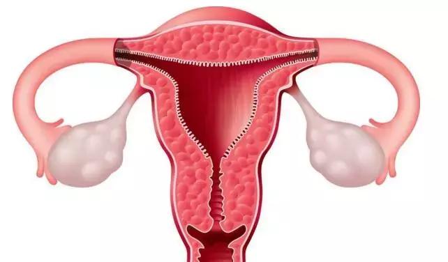 女人在美容院保养卵巢的正确方法,美容院的卵巢保养可靠吗