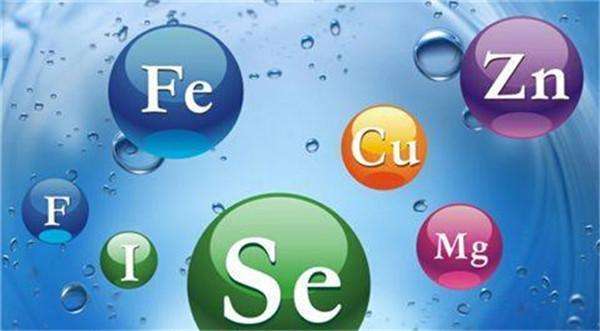 比熊挑食光给狗粮不吃怎么办,五岁比熊不爱吃东西挑食严重