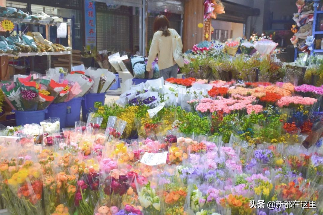 三圣花卉市场正规吗,三圣乡花卉市场今日现状