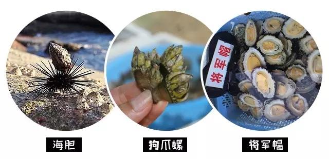 两天1晚珠海外伶仃岛跟团游,珠海外伶仃岛旅游攻略