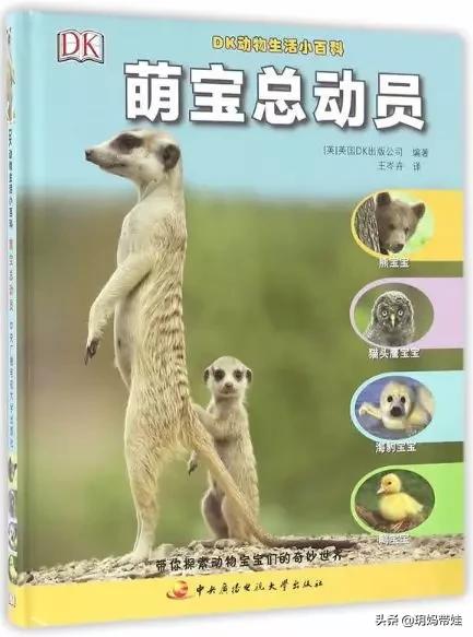 dk科普书怎么样,dk值得入手的书籍