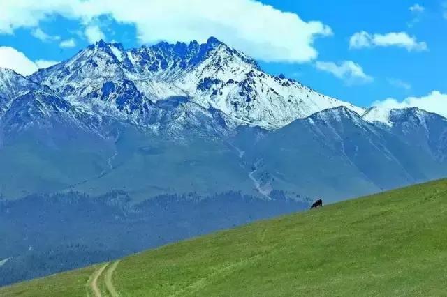 急进高原后血压升高，如何科学应对？