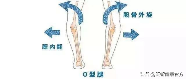 盘点动漫中的女主的腿,动漫中可爱的腿型