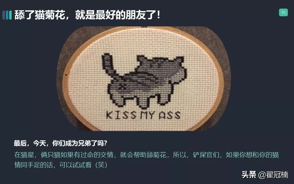 你家猫肛门腺那点事儿...挤？不挤？