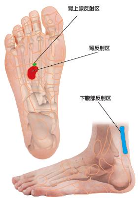 困扰女性的三大妇科病该怎么足疗调理？
