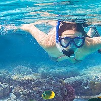 越南芽庄自由行攻略详细,旅游攻略越南芽庄自由行攻略