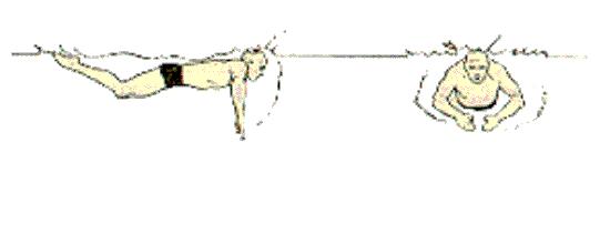 自由泳四句口诀,学游泳技巧口诀图片