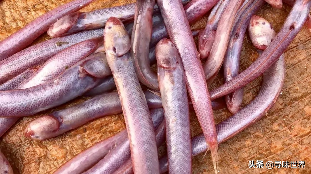 内行人买鱼,买鱼时内行人专买的5种鱼