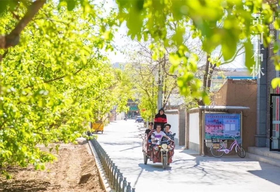 住最静的酒店，看最美的景！只因在黄河石林~