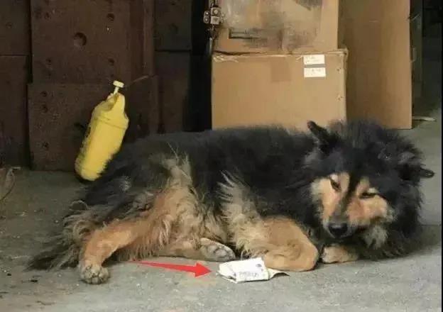 这是什么情况啊搞笑图片,这种情况持续多久了搞笑图片