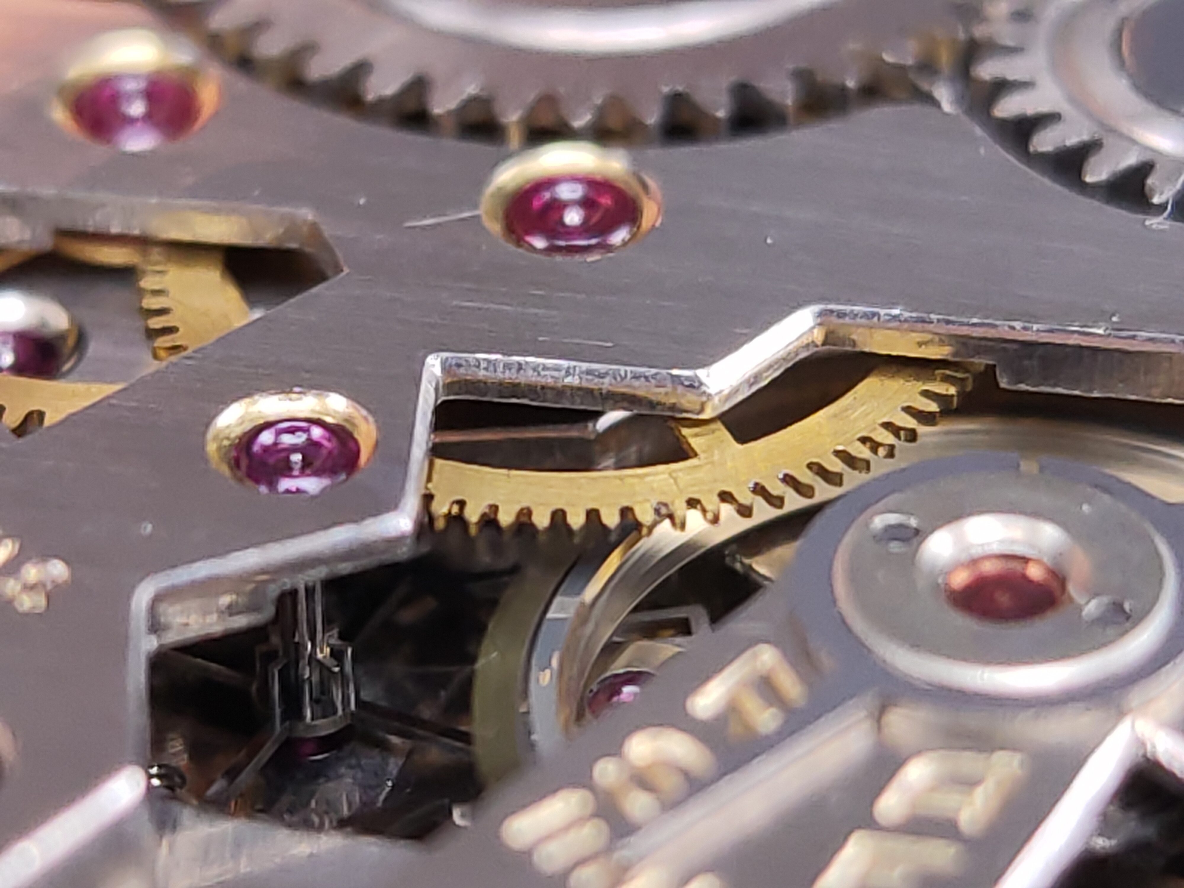 因为一条鱼爱上一个人,因一条鱼丢了一条命