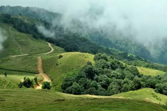 在竹溪河发现宫崎骏里的花海,昆明偶遇宫崎骏世界里的草原
