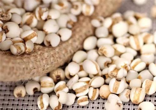 薏仁除湿气最好的方法,红豆薏仁祛除人体湿气的方法