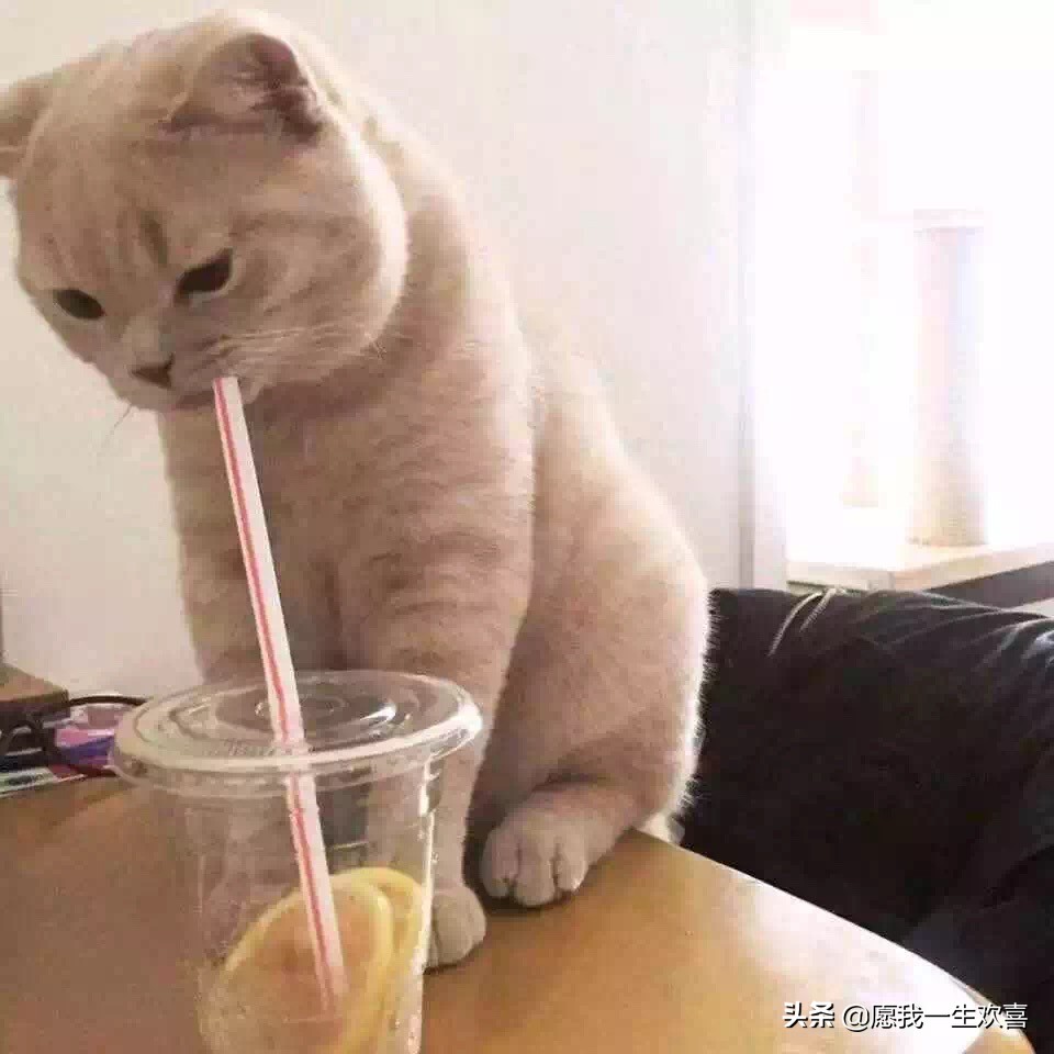 情侣头像是情侣最基本的吗,理想的情侣头像一对