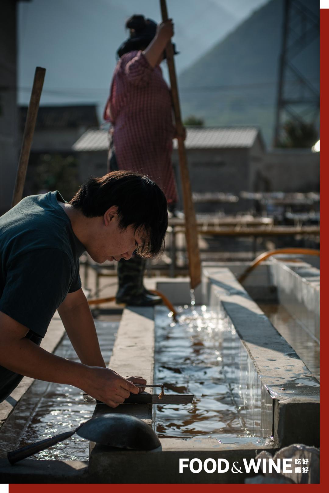 云南咖啡排名,云南咖啡十大品牌