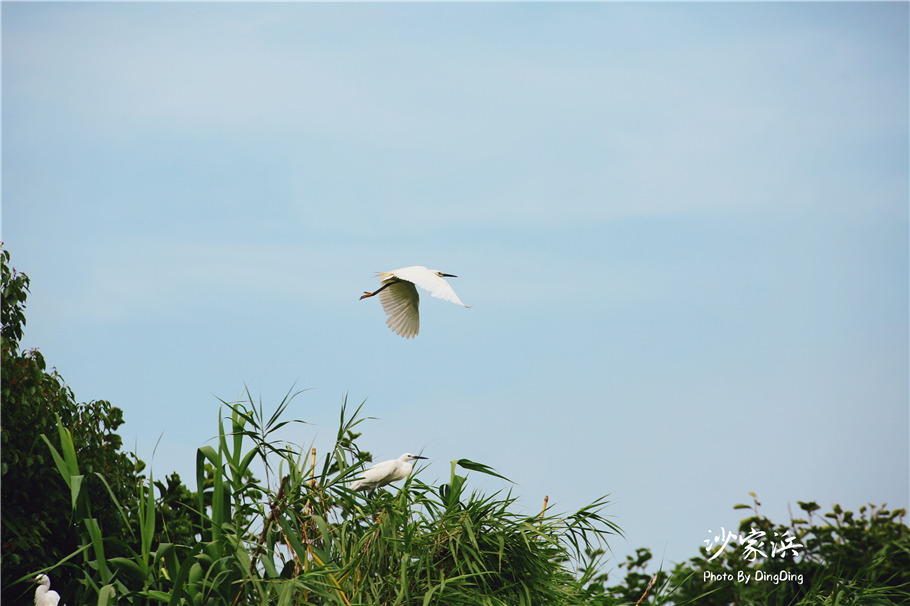 苏州红色革命旅游景点图片,苏州红色革命景点介绍视频