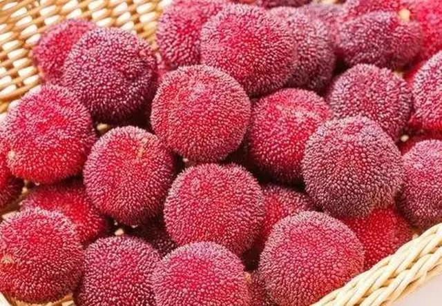 清洗杨梅时有小虫可以吃吗,洗杨梅别只会用盐