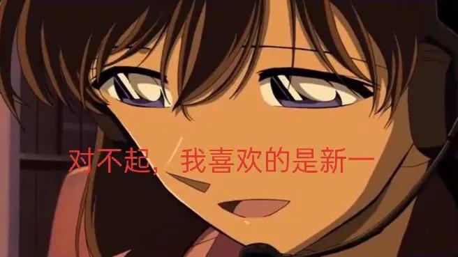 江户川柯南是什么时候变回新一的,江户川柯南和工藤新一的图像