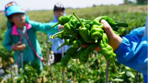 鎬讳环5瀛楀ご璧锋姠澶紒璞畢,棣栦粯5涓囪捣鎶㈤珮鏂板尯鏍稿績娲嬫埧