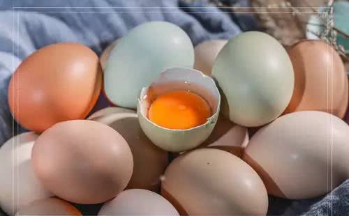 宝宝吃鸡蛋的六大误区,宝宝吃生鸡蛋会发烧了怎么办