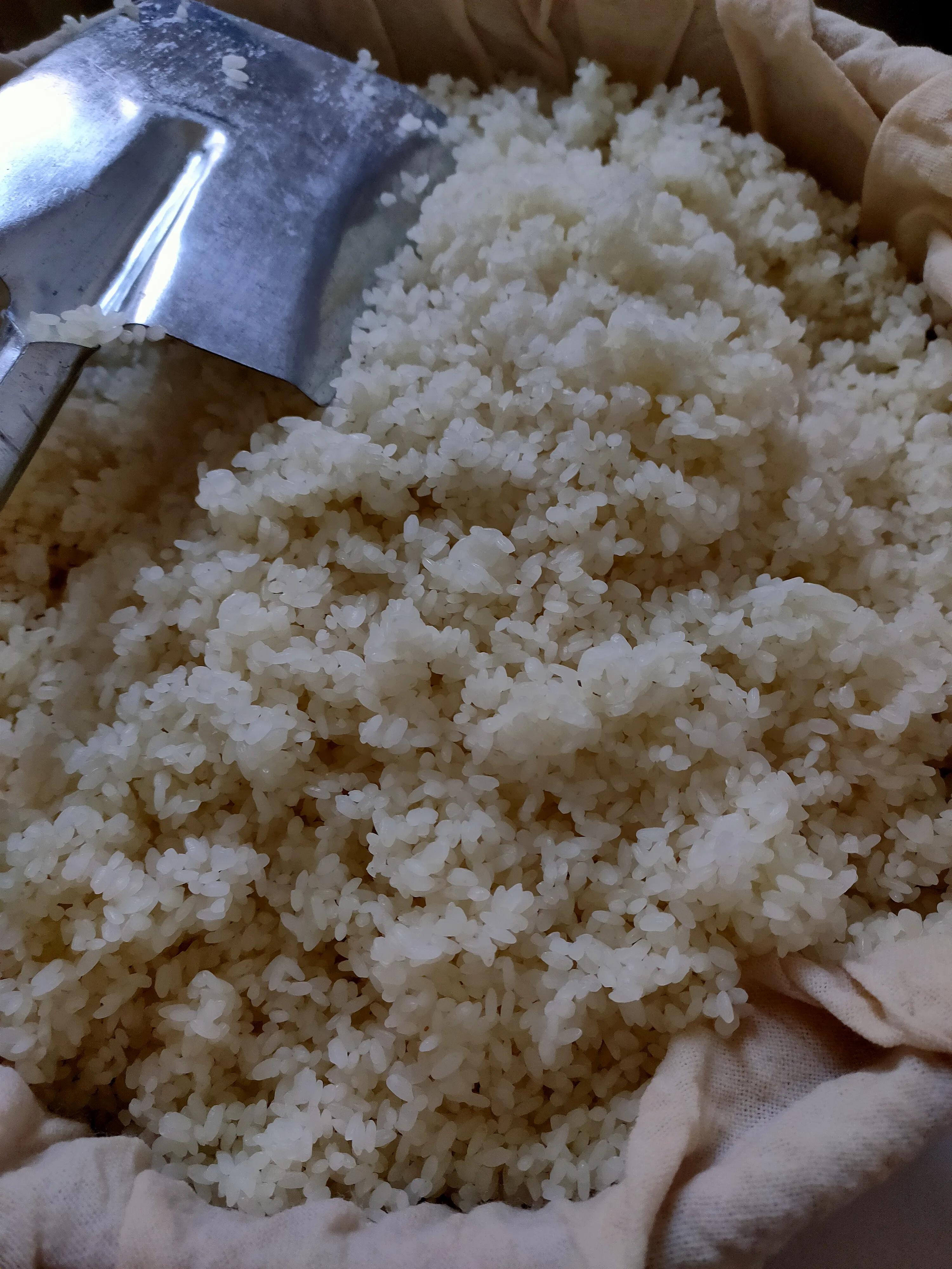 酿一壶老酒的诗,大米酿浓香型白酒