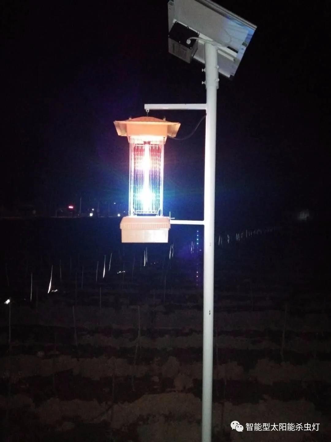 太阳能杀虫灯介绍,太阳能杀虫灯