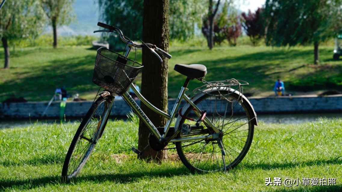 濞佹捣缇婁涵鍏洯鑺傚亣鏃ユ父,濞佹捣缇婁涵婀垮湴鍏洯閲庨