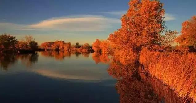 高考作文素材经典语段积累100字,高考论语必背部分