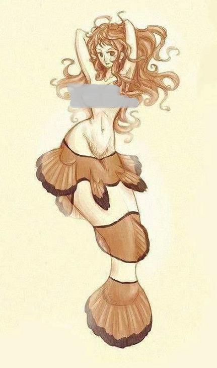 海贼王布鲁克初见娜美罗宾,娜美罗宾布鲁克变小