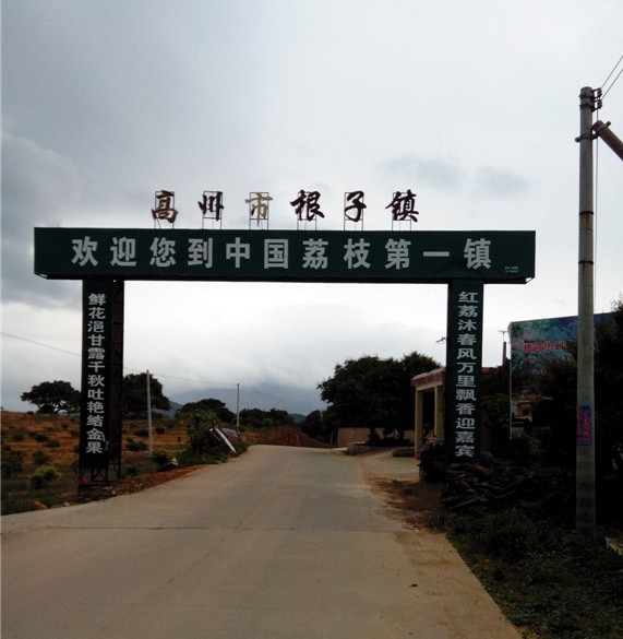 茂名:高州荔枝主产六大乡镇,看看你认识几个?