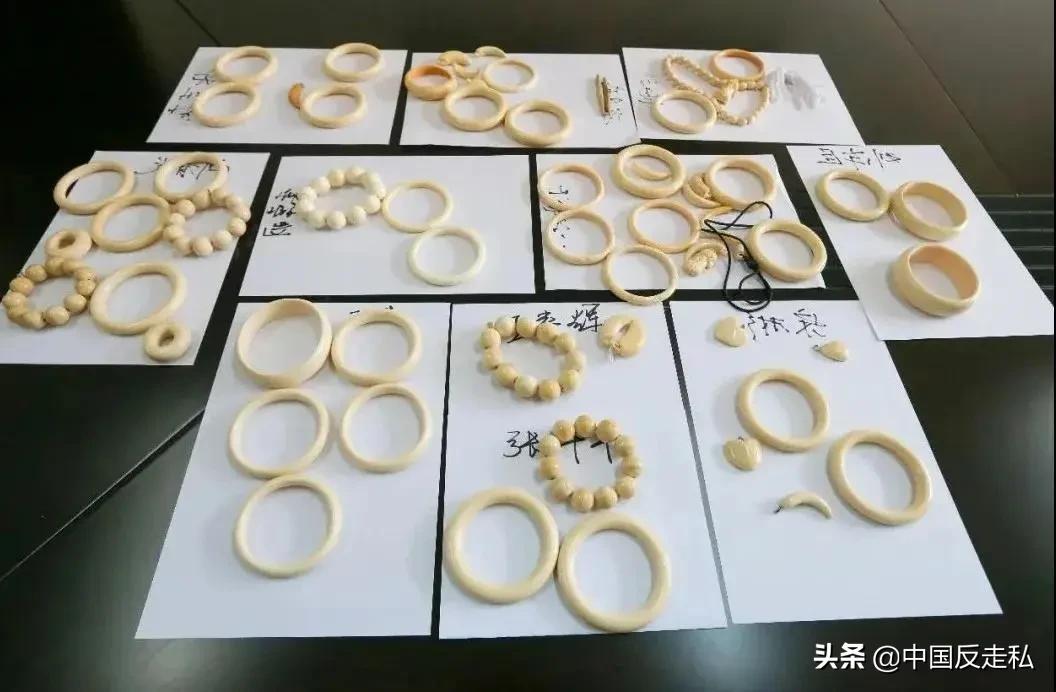 国门利剑打击走私专项行动,国门利剑2021行动总结