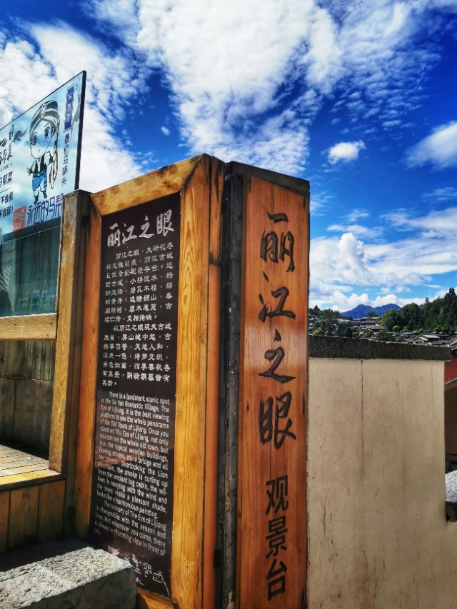 最美的季节遇见最美的你 (最美的季节遇见最美的你散文)