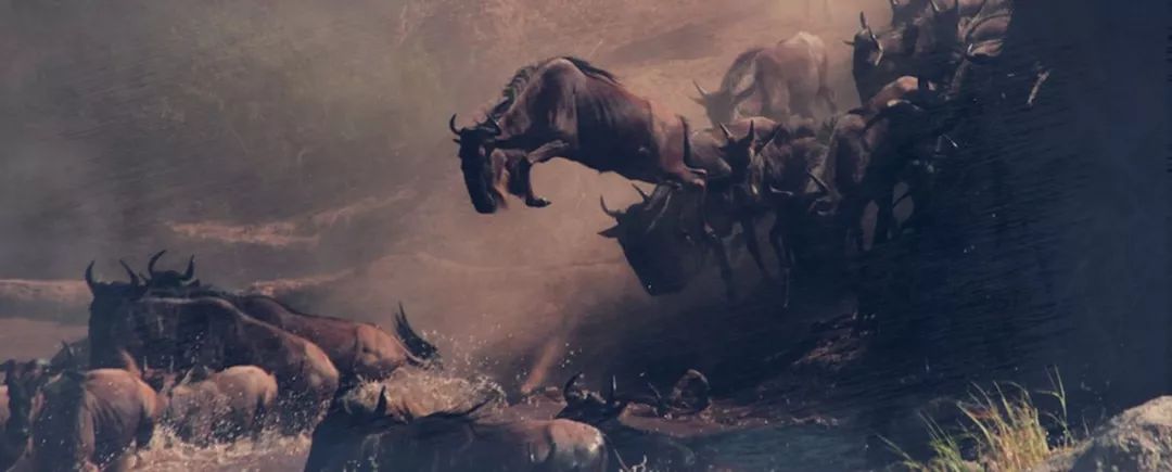 此行路远不问归期阿里巴巴,阿里巴巴数据库在哪里