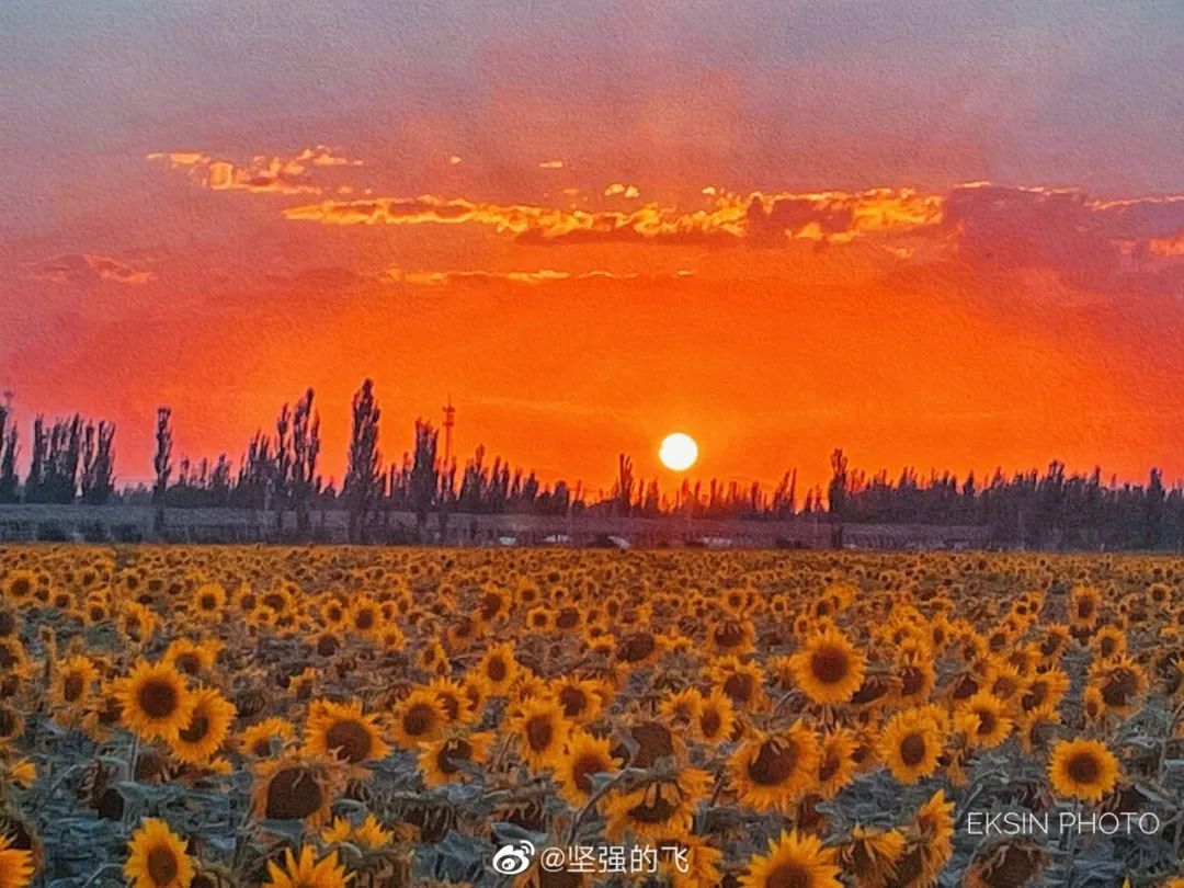 学党史知党情绘画作品,学党史悟思想绘画