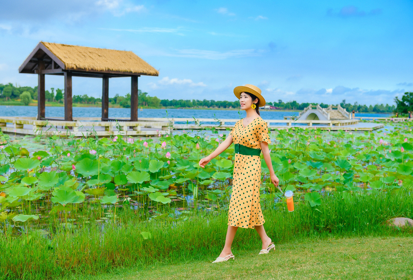 八月的锡林郭勒,8月的锡林郭勒