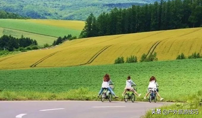 日本北海道富良野骑行攻略，试过在花田、花海中骑行吗？