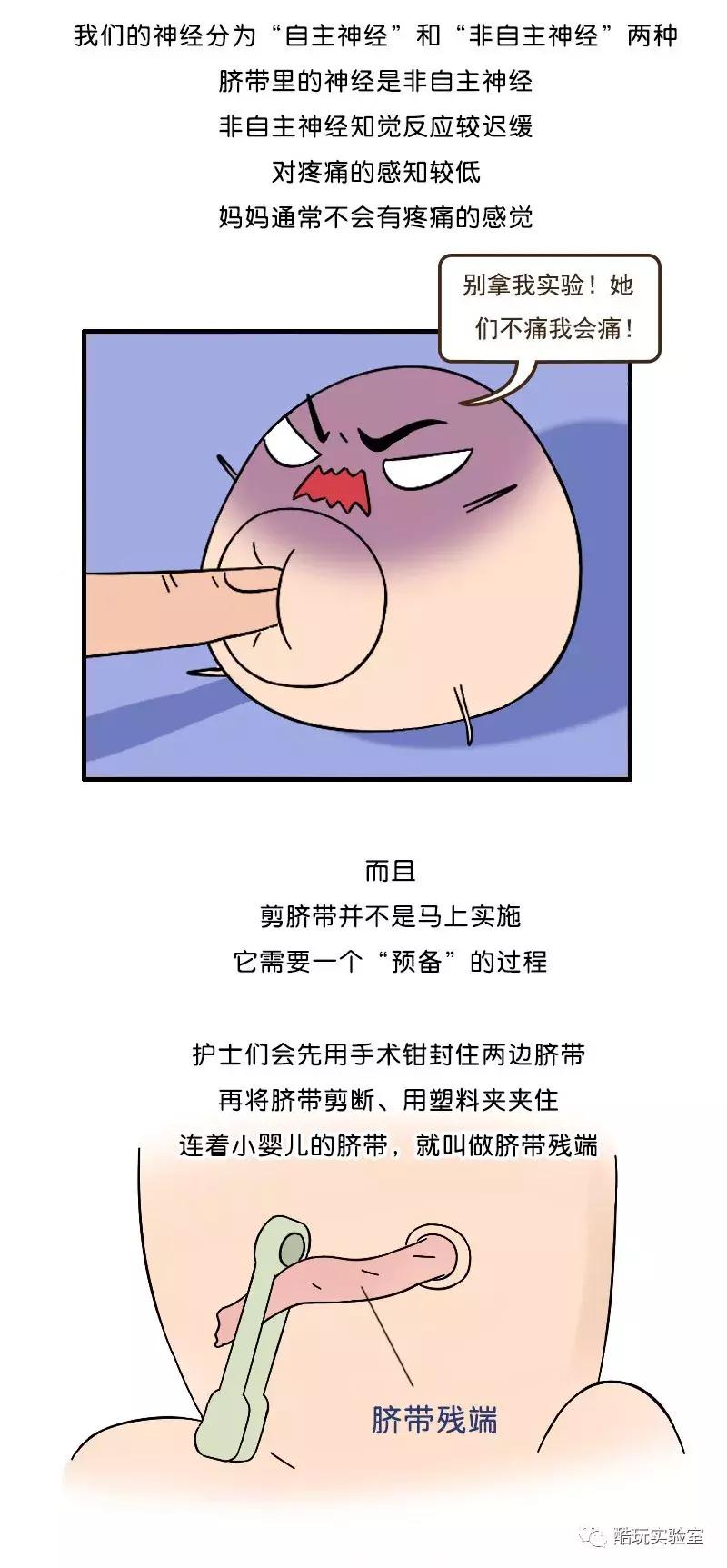人类身上的第一道疤痕---肚脐眼，好神奇！（漫画）