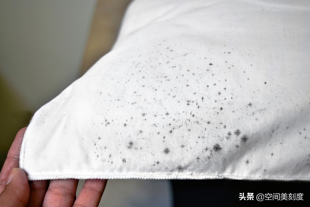 墙上顽固的霉菌怎么处理,怎么清除霉菌生活小妙招