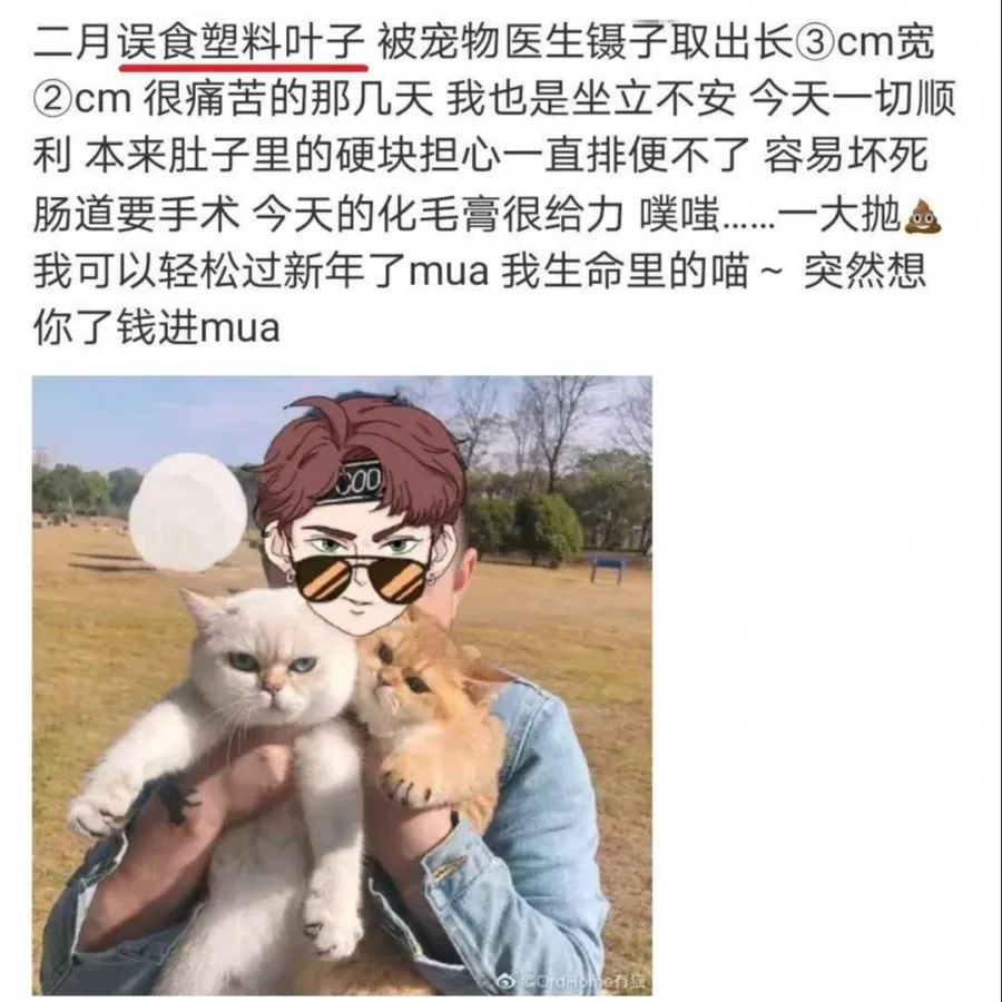 怎么纠正狗狗吃东西躲着人,小狗狗乱吃东西怎么吐出来