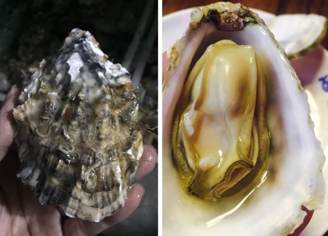 武汉十大必吃烧烤,武汉最好吃的美食店排名