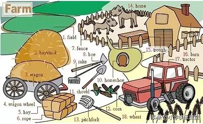 21类生活中常用的英语词汇图！快收藏起来吧