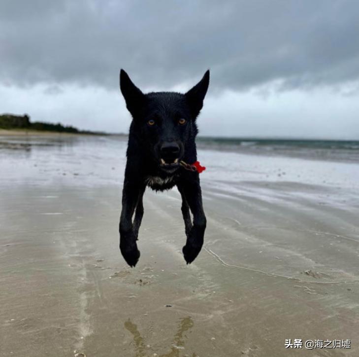 神级抓拍图片,25张令人惊叹的“神”级抓拍
