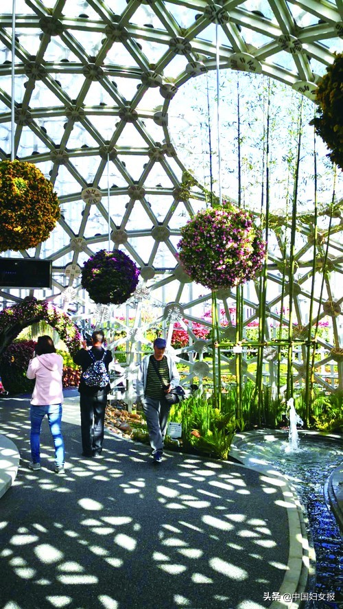 北京世园会畅游攻略,2019北京世园会攻略