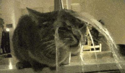 正品泰国护肤品有哪些品牌,泰国抖音热销护肤品