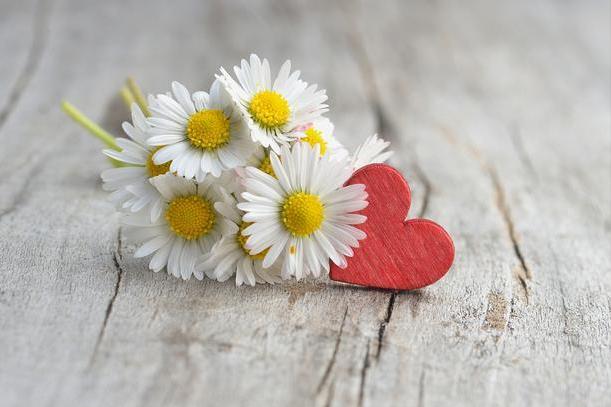 一个人落魄的时候,一个人落魄时才会懂